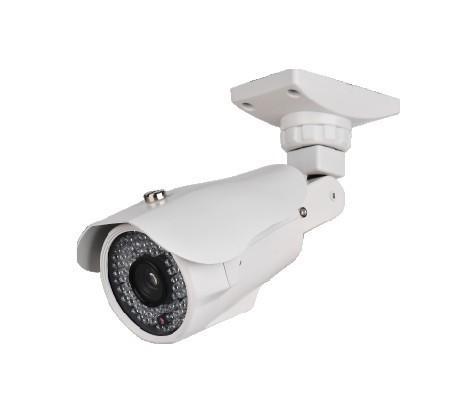 盱眙县万博manbetx登录手机版
七号